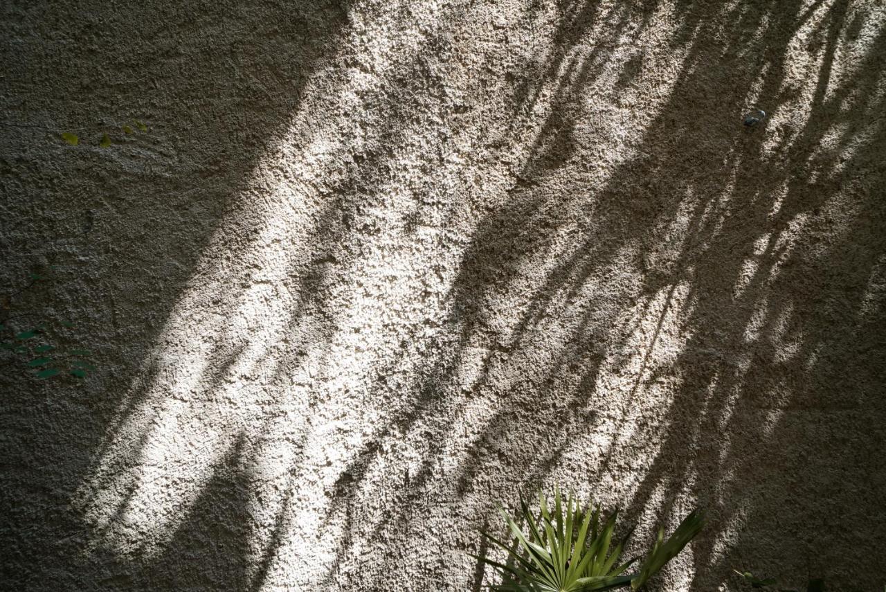 דירות Teva Tulum, Aldea Zama מראה חיצוני תמונה